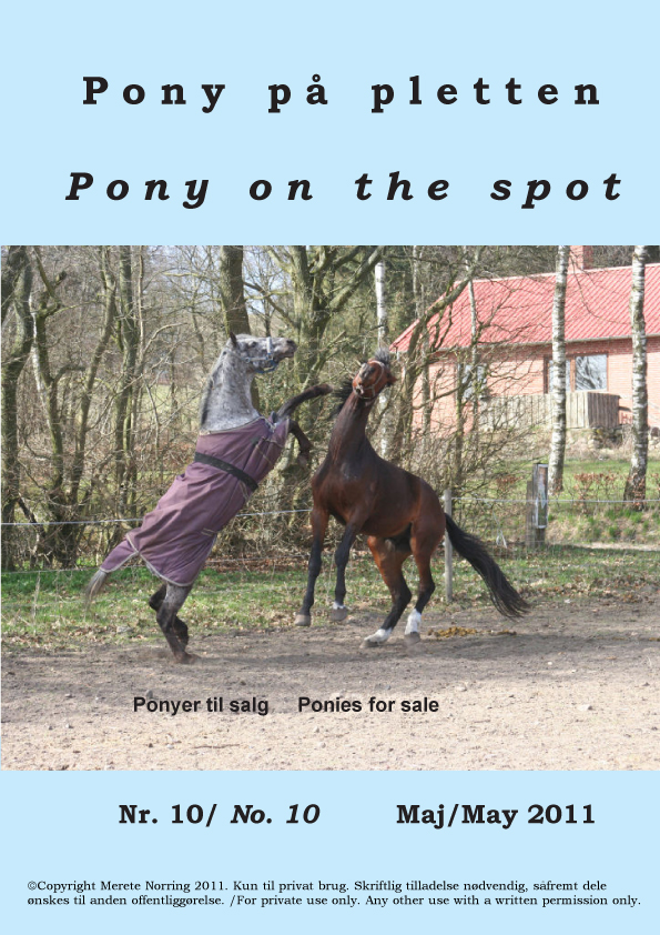 Pony_paa_pletten_10